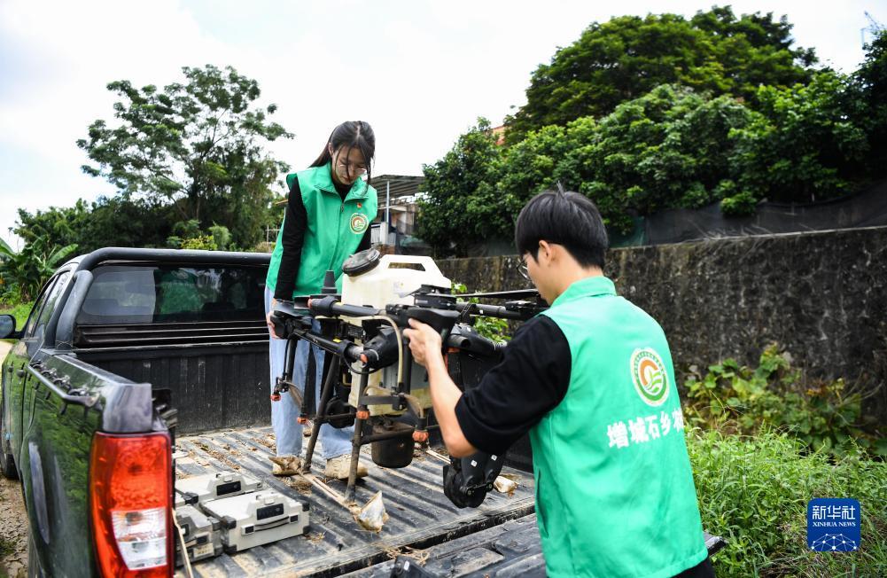 白菜领取大全导航